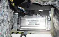 Где находятся мозги на гранте?