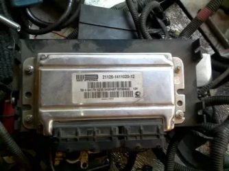 Как узнать какие мозги на приоре?